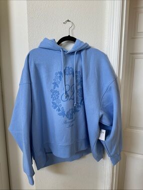 Arizona Jean Company Light Blue Pullover Sweater